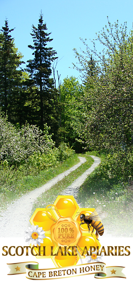 Picture: Laneway and Logo